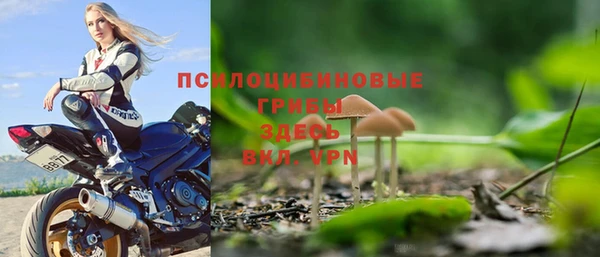 шишки Переславль-Залесский