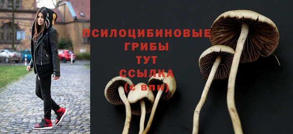 соль курить ск Абдулино