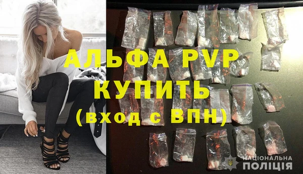 спиды Покачи